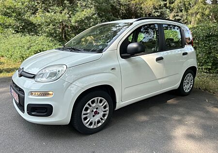 Fiat Panda 1.2, TÜV Neu, Zahnriemen neu, Bremsen neu