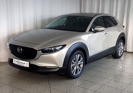 Mazda CX-30 2.5L e-SKYACTIV G 140 TAKUMI LEDER schwarz