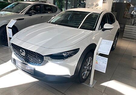 Mazda CX-30 2.5L e-SKYACTIV G 140PS Takumi Leder Autom