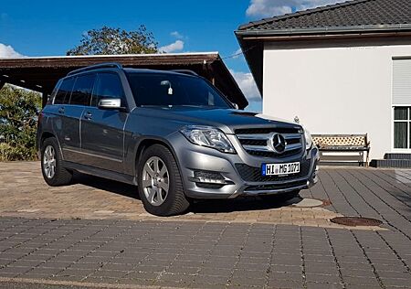 Mercedes-Benz GLK 220 CDI 4MATIC BlueEFFICIENCY -