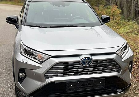 Toyota RAV 4 2.5 Hybr. Auto AWD Technik-Style