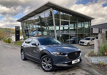 Mazda CX-30 122 PS SELECTION DES-P PRE-P *Garantie*