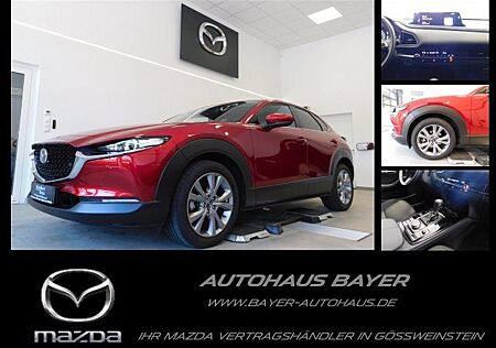 Mazda CX-30 2.0L e-SKY-G 150ps Exclusive-Line /Des.Pa.