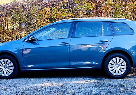 VW Golf Volkswagen 1.6 TDI SCR IQ.DRIVE Variant IQ.DRIVE