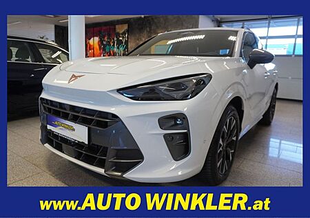 Cupra Terramar eTSI Virtual/Kamera/Navi/LED/Sport