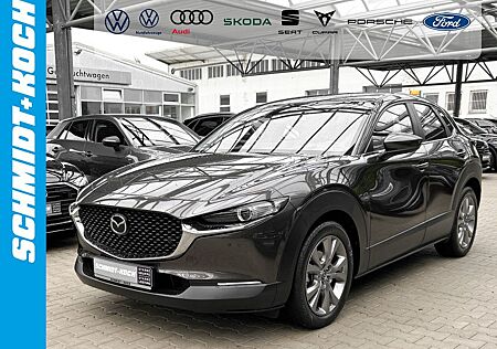 Mazda CX-30 gebraucht kaufen Mazda CX-30 2.0 Selection LED 360 ?KAMERA NAVI ACC HUD