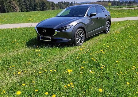 Mazda CX-30 2.0 SKYACTIV-X M-Hybrid AWD Selection ...