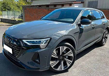 Audi Q8 e-tron 55 advanced S-Line AHK