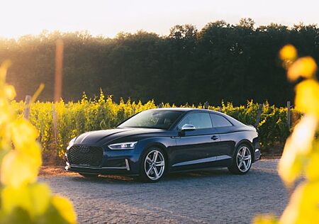 Audi S5 gebraucht kaufen Audi S5 3.0 TFSI tiptronic quattro 354PS