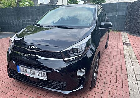 Kia Picanto 1.2 AMT Spirit Komfort Navi 2024 Garanti
