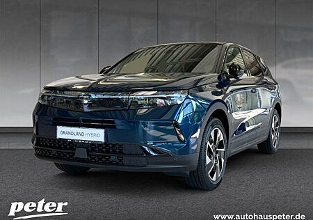 Opel Grandland X Grandland 1.2 GS Panoramadach Navi Verfügbar ab