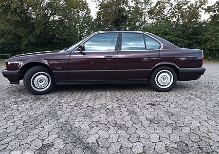 BMW 520i Auto