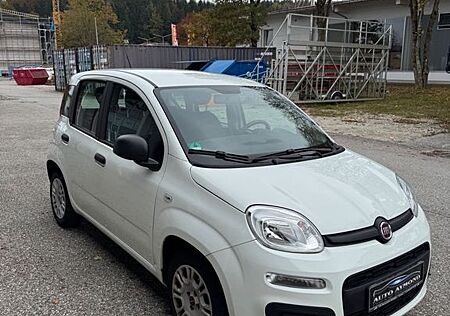 Fiat New Panda 1.2 8V *Klima*EURO 6* FESTPREIS*