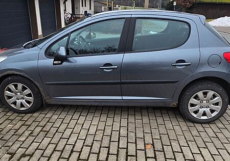 Peugeot 207 SW Filou 73 Filou