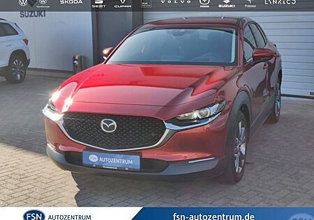 Mazda CX-30 X 2.0L 186PS SELECTION, LEDER, MATRIX-LED