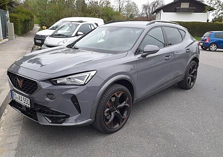Cupra Formentor , 1.5 TSI, DSG - Grau, 19-Zoll