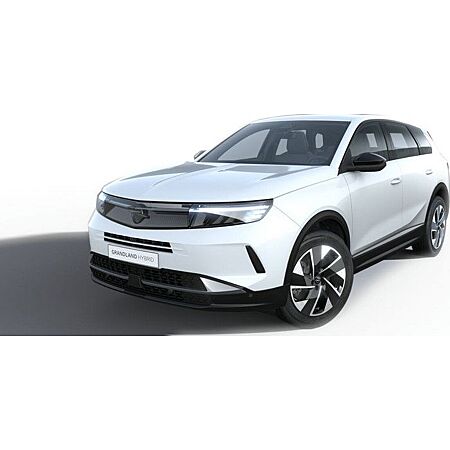 Opel Grandland X leasen