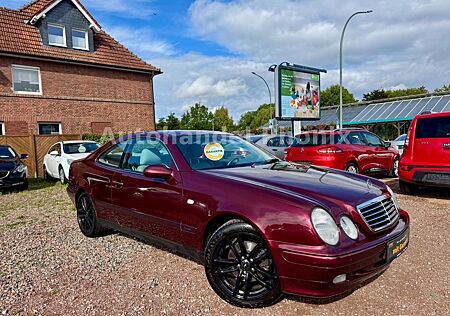 Mercedes-Benz CLK 230 gebraucht kaufen Mercedes-Benz CLK 230 KOMPRESSOR ELEGANCE*GARANTIE*TÜV NEU*