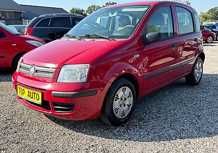 Fiat Panda 1,2 Benzin |TÜV NEU