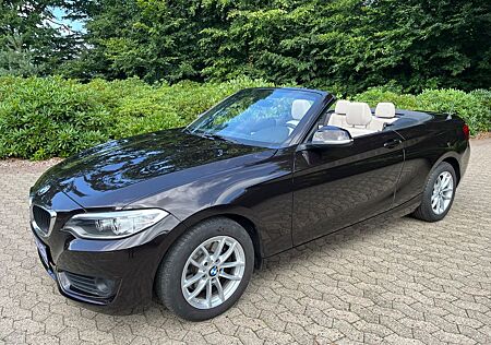 BMW 220 i Cabrio ((( M Sportleder+Xenon+37.000KM )))