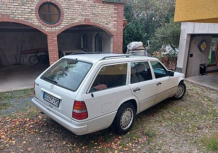 Mercedes-Benz 220 gebraucht kaufen Mercedes-Benz 220 W124 TE umfangreich überarbeitet S124