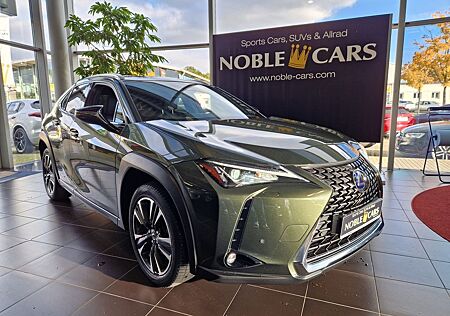Lexus UX gebraucht kaufen Lexus UX 250 h Style LED ALU