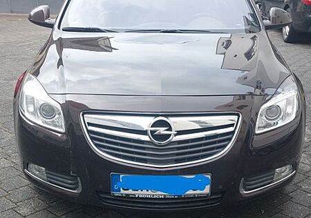 Opel Insignia 118 kw 8-fach bereift