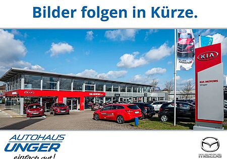 Hyundai Ioniq 1.6 AT Style Hybrid Xenon PDC Kamera Sitzh