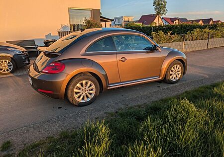 VW Beetle Volkswagen 1.4 TSI -