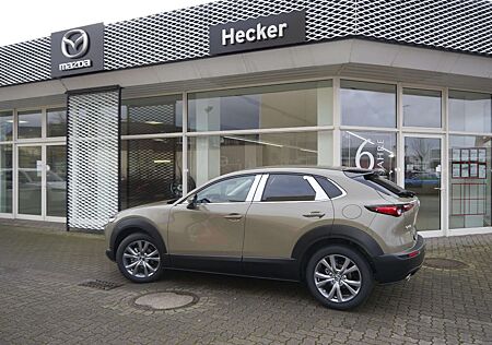 Mazda CX-30 e-SKYACTIVE G 140 EXCLUSIVE Sommerschluss