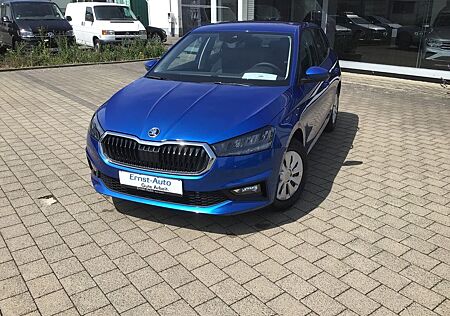 Skoda Fabia Selection Plus 1.0 TSI +DSG+LENKRADHZG.+LE