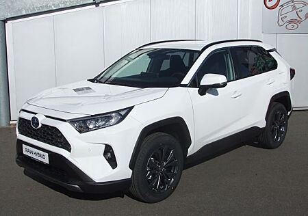 Toyota RAV 4 2.5 4x2 Hybrid Team D *TECHNIK-P.*LED*K