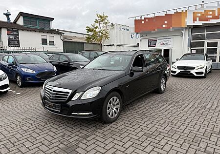Mercedes-Benz E 220 gebraucht kaufen Mercedes-Benz E 220 CDI T BlueEfficiency/Autom/ACC/HK/Bi-Xenon