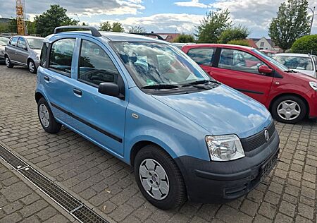 Fiat New Panda Tüv 1.Hand Nur81000km