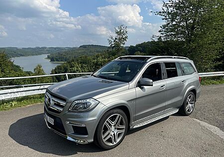 Mercedes-Benz GL 500 4MATIC Off Road-TV-AMG Line V8 Biturbo