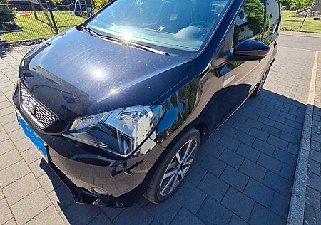 Seat Mii electric - Plus mit Winterpaket und CCS