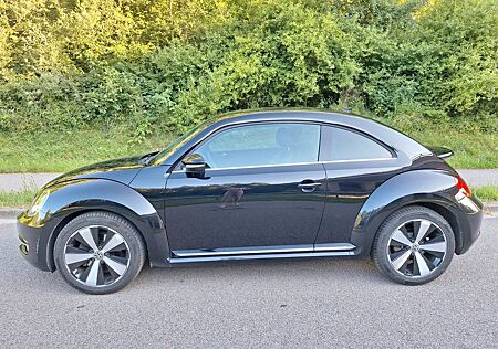 VW Beetle Volkswagen 1.4 TSI Fender Editioner Ledersitze