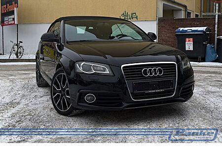 Audi A3 Cabrio S line 2.0 TDI*Carplay*SHZ*Alcantara*