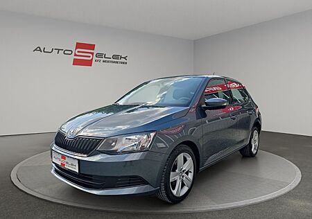 Skoda Fabia Cool Edition TÜV INSPEKTION NEU KLIMA