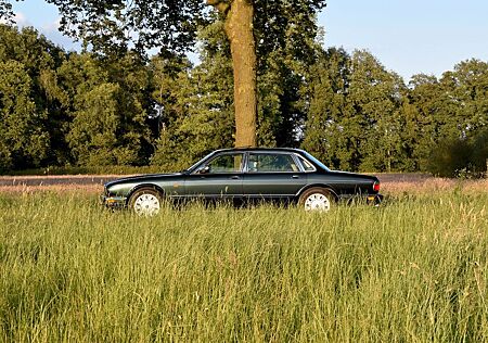 Jaguar Daimler Century Six LWB Spruce Green Metallic