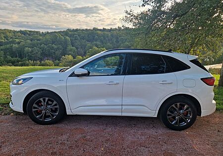 Ford Kuga 2.0 EcoBlue Hybrid ST-Line ST-Line