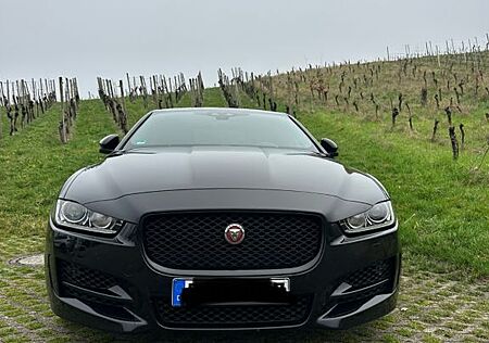 Jaguar XE Automatik R-Sport Black Pack / 2.Hand/neue HU