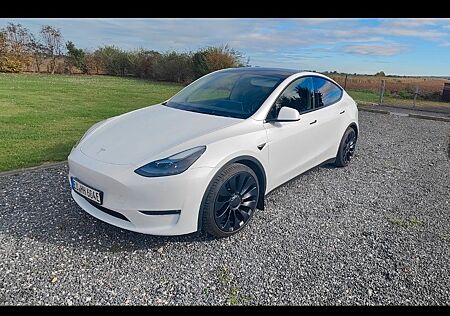 Tesla Model Y Performance Dual Motor AWD Performance