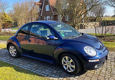 VW Beetle Volkswagen