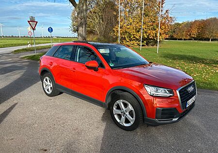 Audi Q2 1.4 TFSI COD S tronic mit Schiebedach