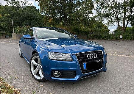Audi A5 gebraucht kaufen Audi A5 3.0 TDI (DPF) S tronic quattro Sportback