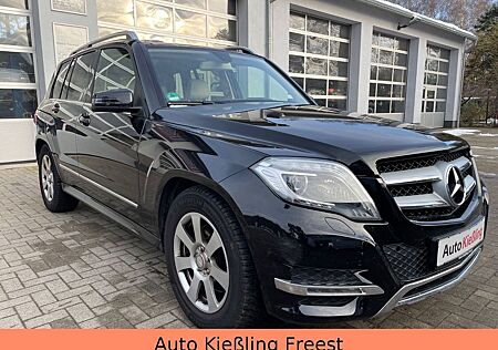 Mercedes-Benz GLK 250 CDI Automatik 4M 2.Hand,BI-Xenon,Pano !