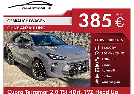 Cupra Terramar 2.0 TSI 4Dri. 19Z Head Up ACC AHK