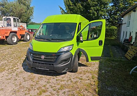 Fiat Ducato Lang Transporter