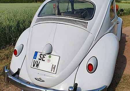 VW Käfer Volkswagen 1959 Typ 113 CKD (Export Modell)